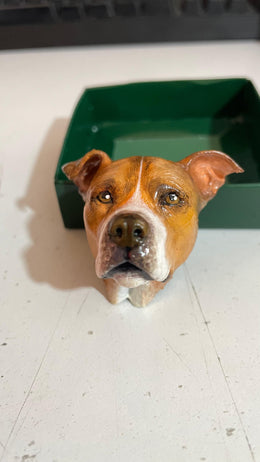 3D Pet Magnet – Fotoğraftan Evcil Hayvan Magneti