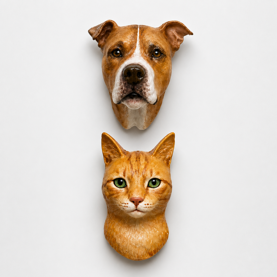 Pet magnet