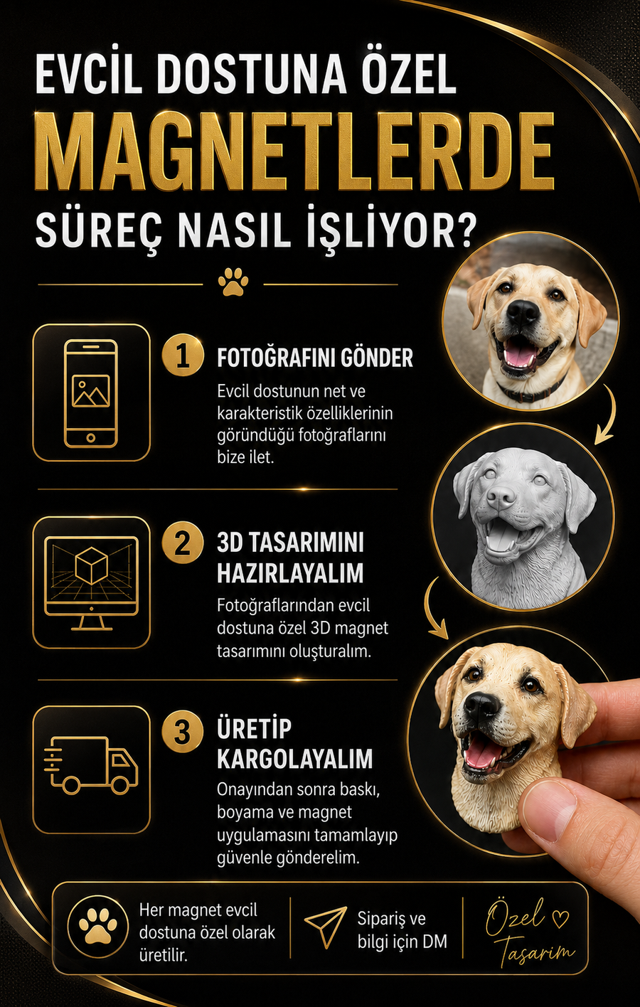 Evcil dost magnet süreci
